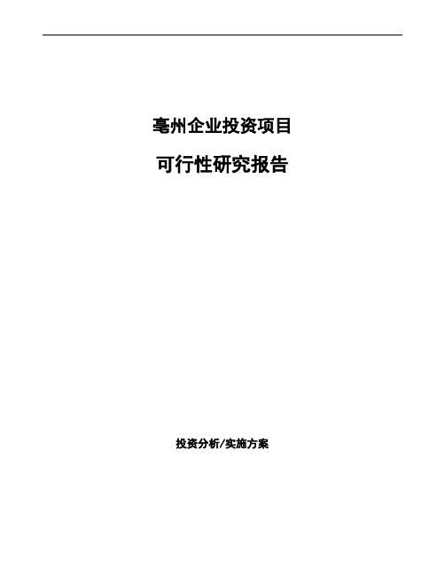 亳州项目可行性研究报告