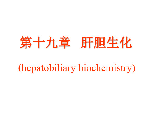 《生物化学》教学课件-第十九章 肝胆生化