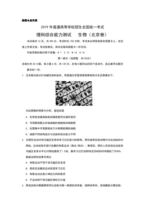 2019年北京高考生物试题和答案详细解析及备考策略