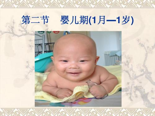 婴儿期1月—13月