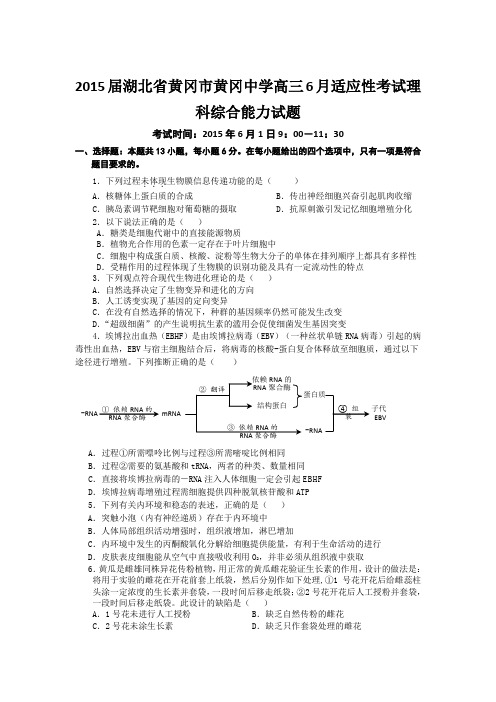 2015届湖北省黄冈市黄冈中学高三6月适应性考试理科综合能力试题