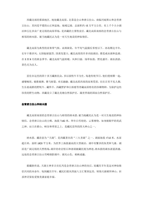 藏北高原的神仙眷侣