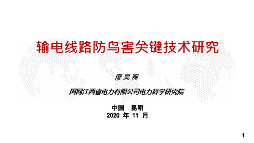 输电线路防鸟害关键技术研究_电力技术讲座课件PPT