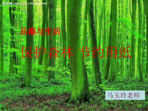保护森林节约用纸课件
