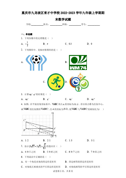 重庆市九龙坡区育才中学校2022-2023学年九年级上学期期末数学试题