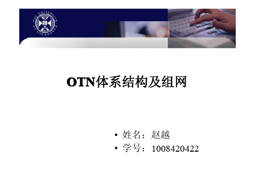 OTN体系结构及组网