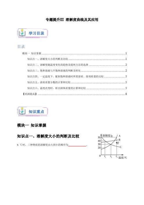 专题提升Ⅲ 溶解度曲线及其应用(原卷版)-2024-2025学年八年级科学上册讲练测(浙教版)