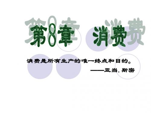 CH8 消费