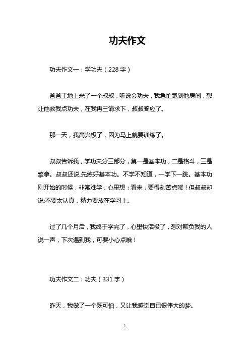 功夫作文