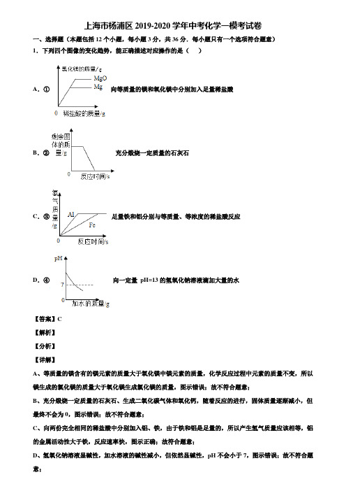 上海市杨浦区2019-2020学年中考化学一模考试卷含解析
