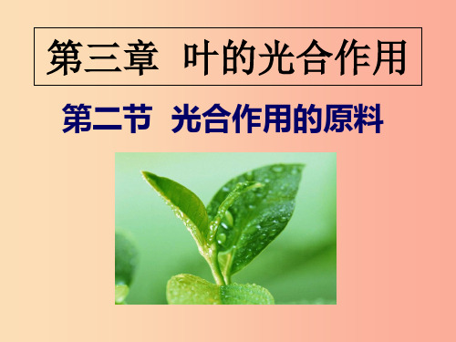 八年级生物上册 第三单元 第三章 第二节光合作用的原料课件 (新版)冀教版PPT