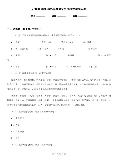 沪教版2020届九年级语文中考猜押试卷A卷