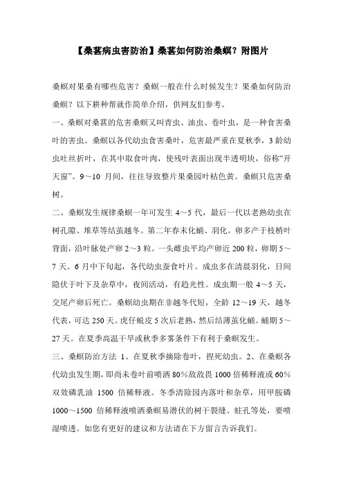 【桑葚病虫害防治】桑葚如何防治桑螟？附图片