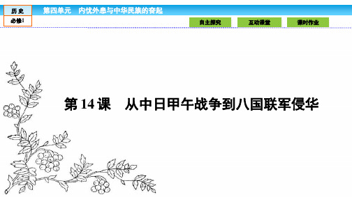 2016—2017学年(岳麓版)高中历史必修1课件：第四单元 内忧外患与中华民族的奋起4.14
