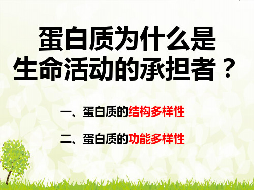 2-23蛋白质的多样性