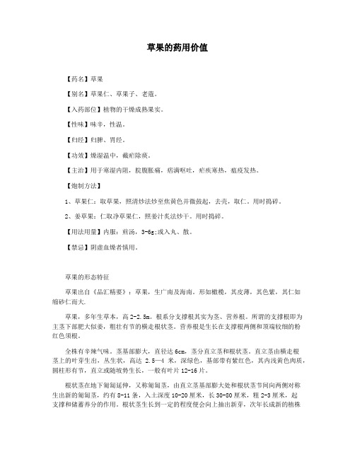 草果的药用价值