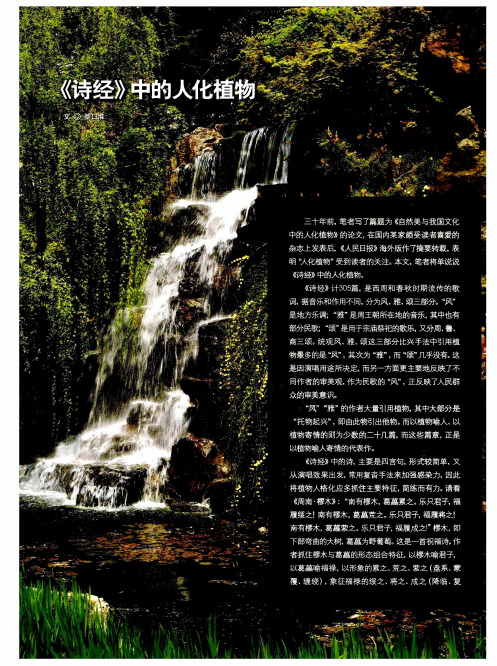《诗经》中的人化植物