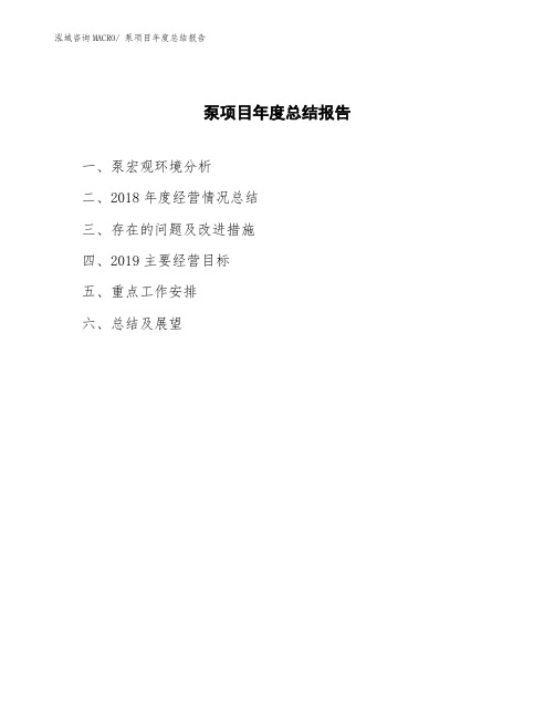 泵项目年度总结报告
