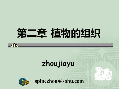 植物的组织