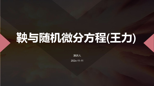 鞅与随机微分方程(王力)PPT模板