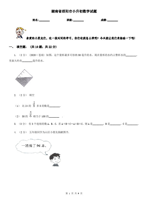 湖南省邵阳市小升初数学试题