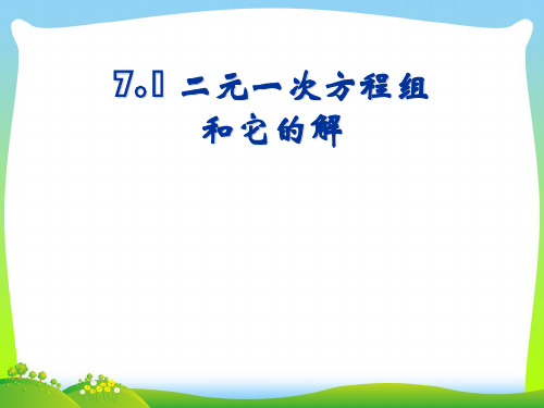 华师大版七年级数学下册第七章《二元一次方程组和它的解》优质公开课课件3