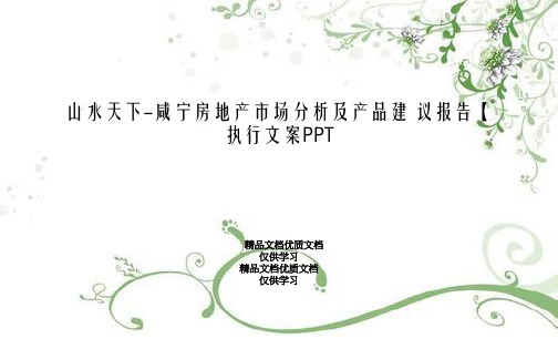 山水天下-咸宁房地产市场分析及产品建 议报告【执行文案PPT