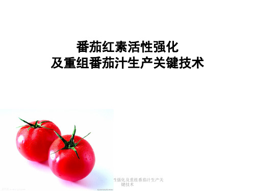 番茄红素活性强化及重组番茄汁生产关键技术讲座