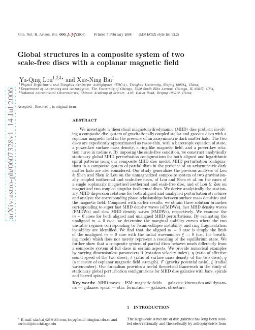 Global structures in a composite system of two scale-free discs with a coplanar magnetic fi