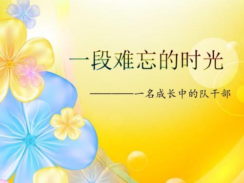 一段难忘的时光PPT版