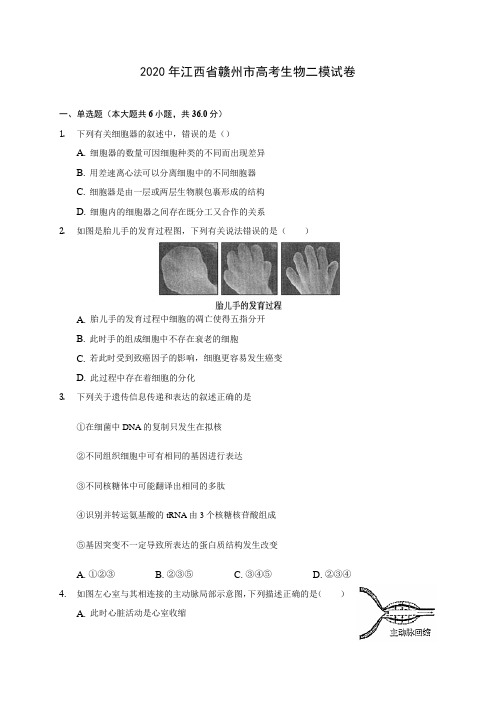 2020年江西省赣州市高考生物二模试卷 (含答案解析)