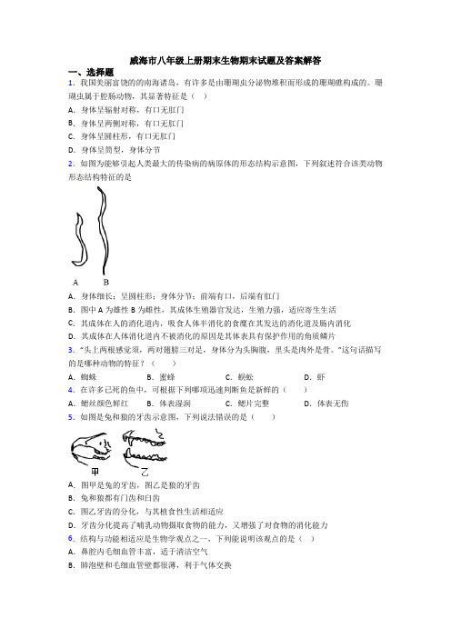 威海市八年级上册期末生物期末试题及答案解答