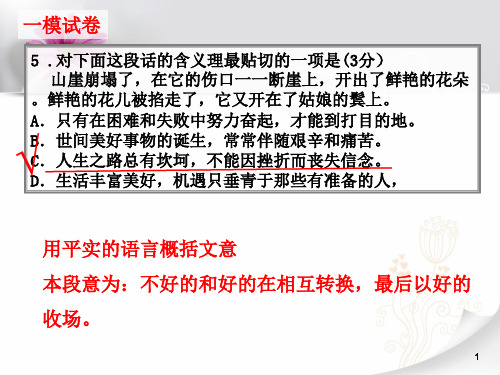 理解句子含义ppt课件