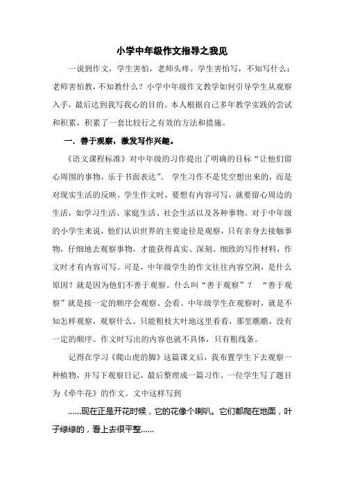 小学中年级作文指导之我见