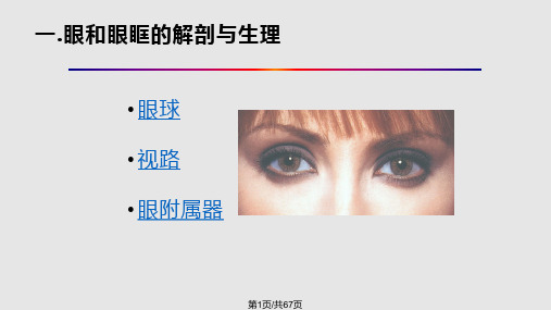 眼内异物的声像图表现PPT课件