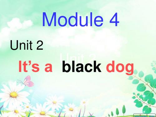 It's a black dog