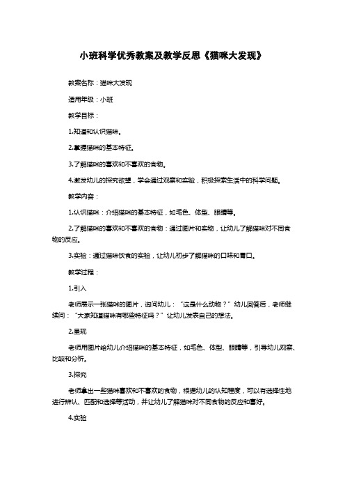 小班科学优秀教案及教学反思《猫咪大发现》