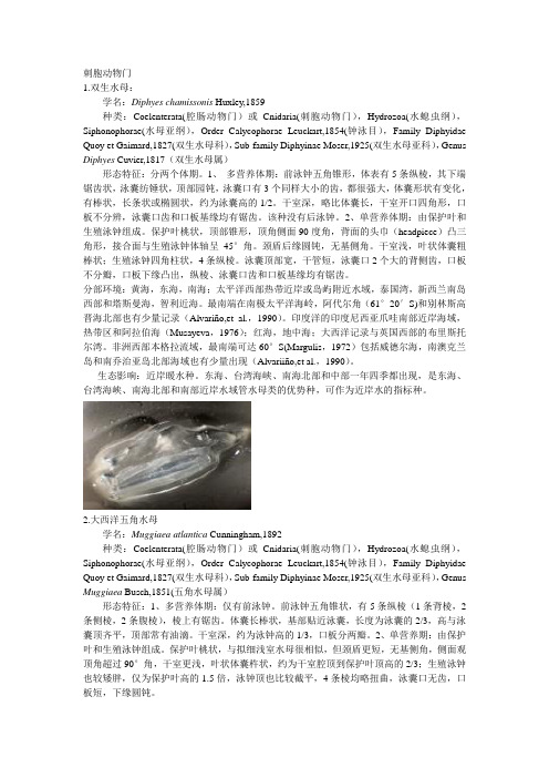 刺胞动物门