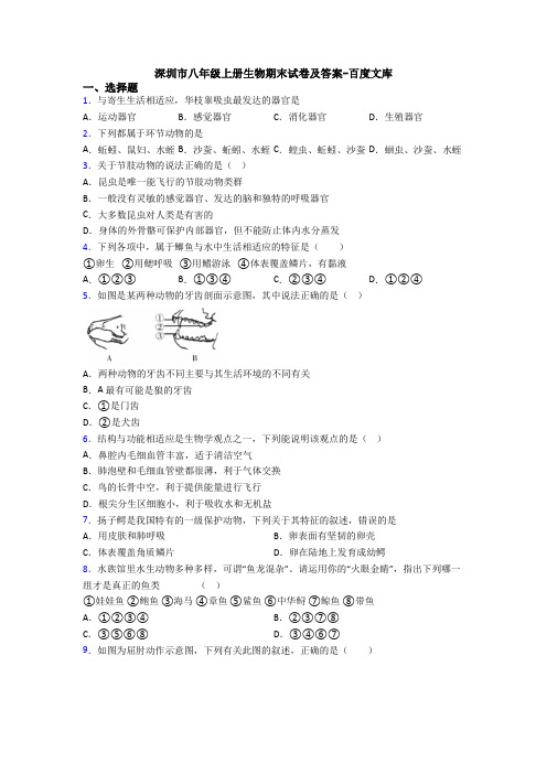 深圳市八年级上册生物期末试卷及答案-百度文库
