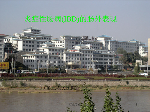 炎症性肠病(IBD)的肠外表现[行业专业]