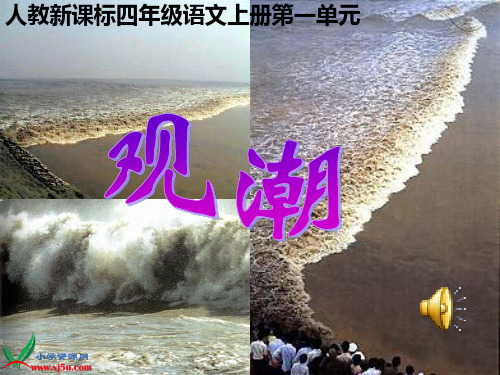 人教版四年级语文上册课件_观潮_