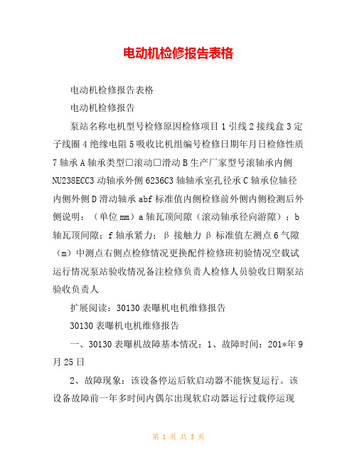 电动机检修报告表格