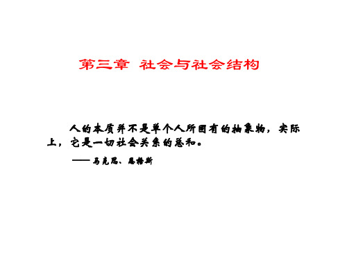 社会与社会结构