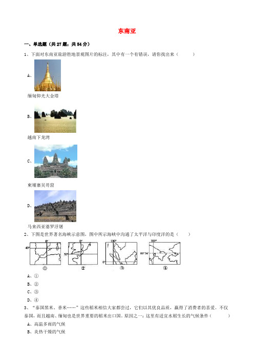 中考地理专题 17 东南亚(含解析)