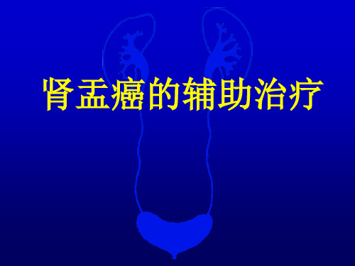 肾盂癌治疗