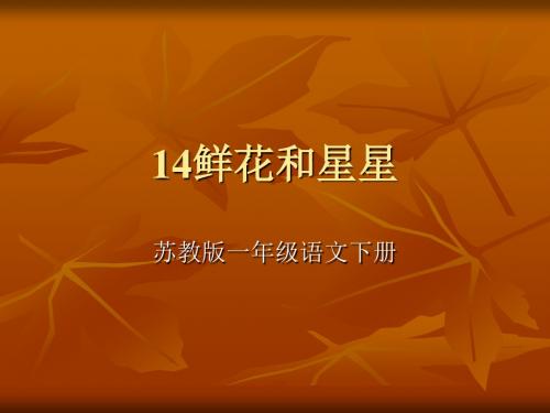 14鲜花和星星