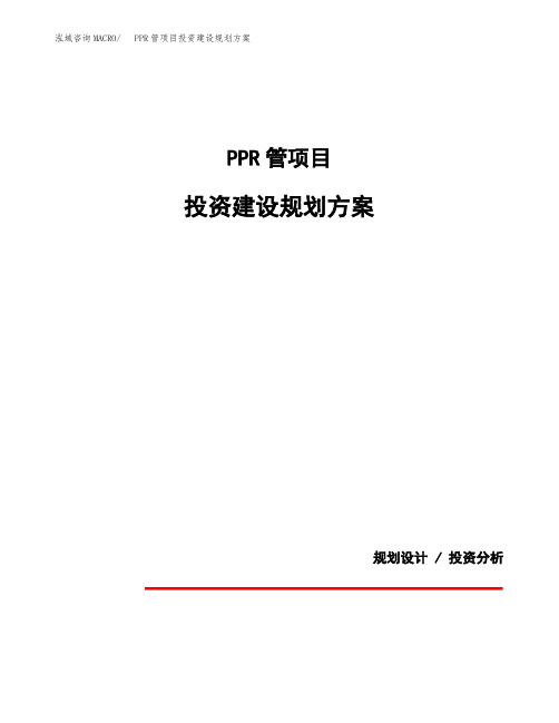 PPR管项目投资建设规划方案(模板)