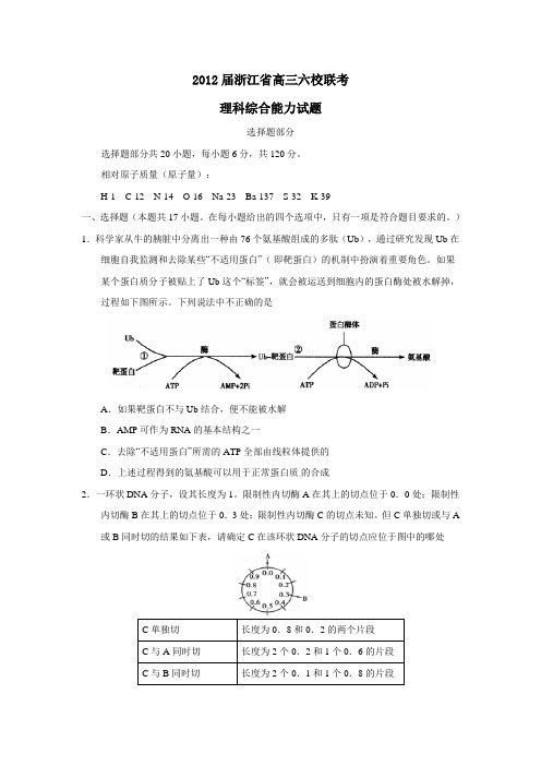 浙江省高三六校联考理科综合能力试题
