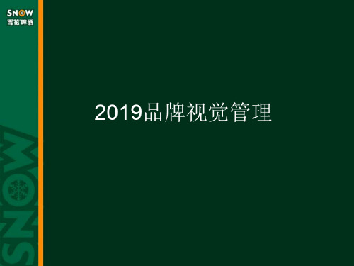 华润雪花啤酒品牌视觉管理共29页