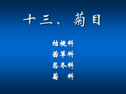 植物生物学-被子植物-菊目